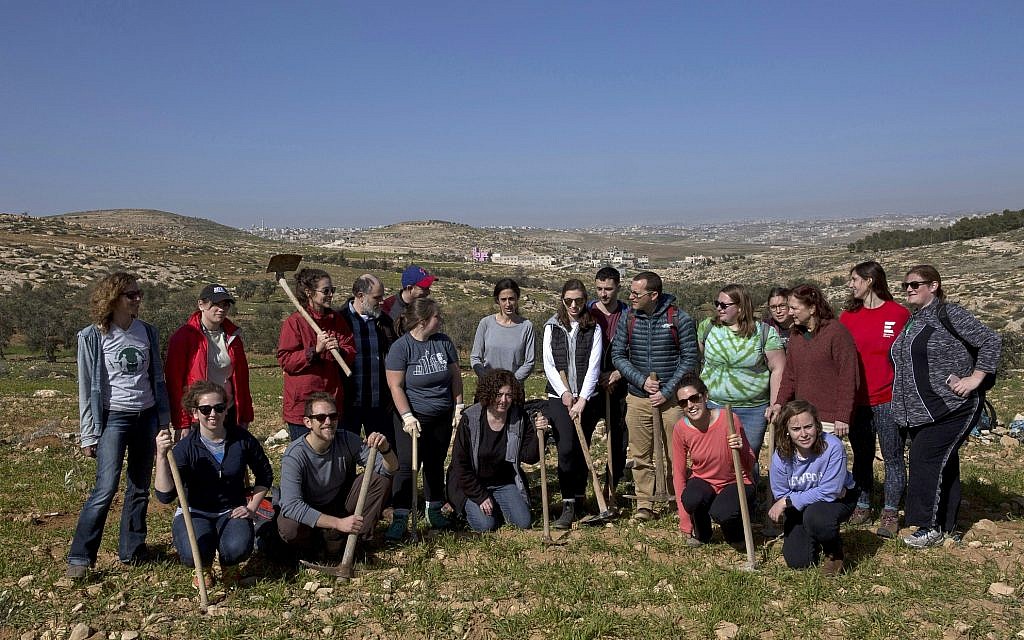 In this Friday, Jan. 25, 2019 photo, American rabbinical students plant olive trees near the West Bank village of Attuwani, south of Hebron. (AP Photo/Nasser Nasser)