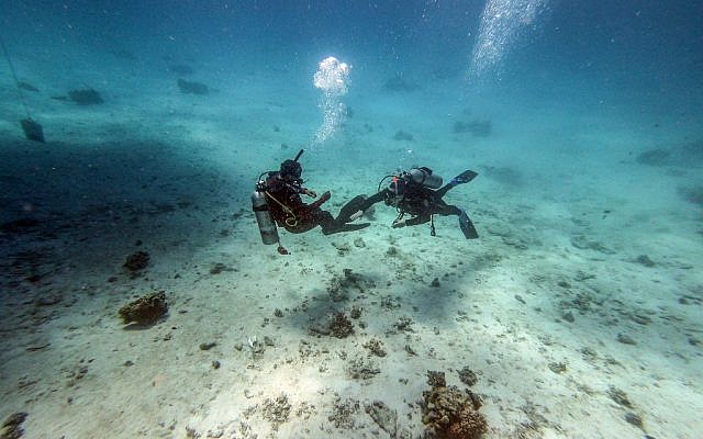 Divers swim off the coast of Egypt's Red Sea resort of Hurghada, on April 4, 2019.  (Mohamed el-Shahed / AFP)