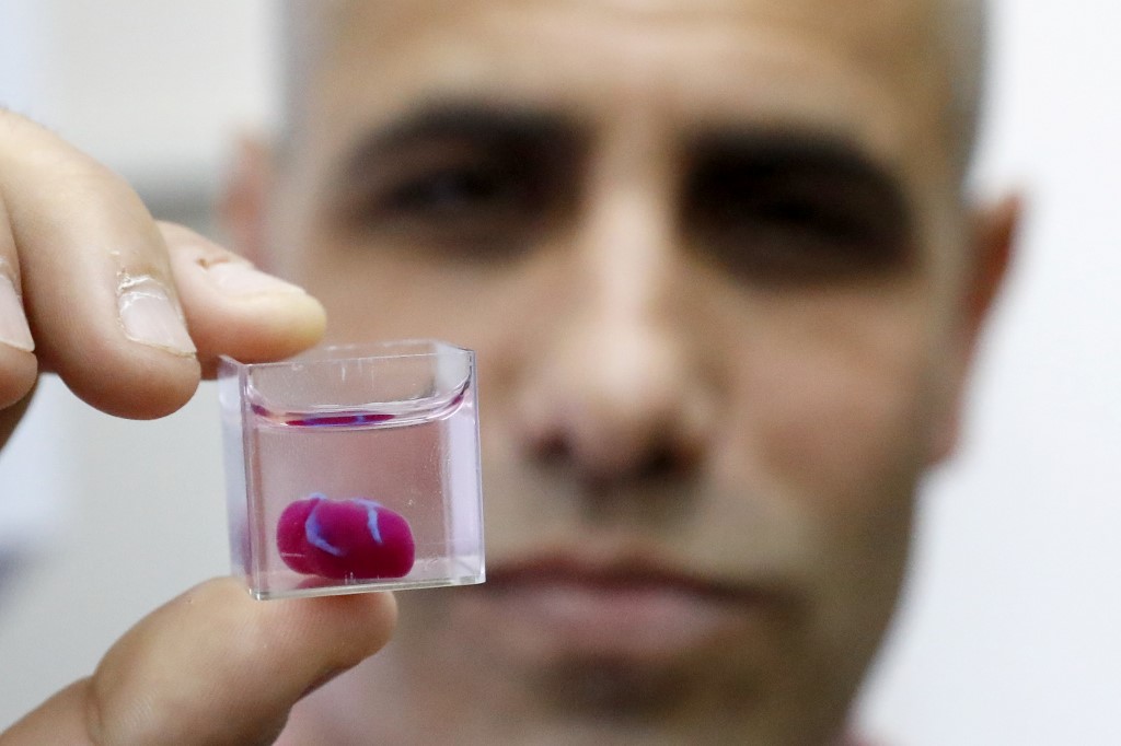 Pharma giant Bayer test new drugs on 3D-printed heart tissue The of Israel
