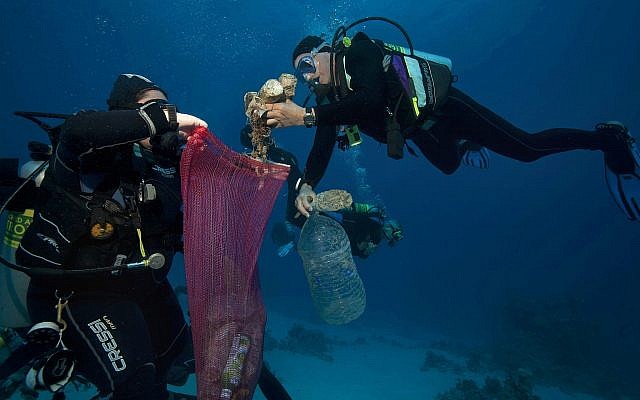 In this June 8, 2018 photo, divers collect plastic and other debris during a cleanup organized by Camel Dive Club, at a dive site off the coast of the Red Sea resort of Sharm el Sheikh, in southern Sinai, Egypt. (AP Photo/Thomas Hartwell)