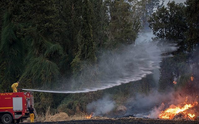 Firefighters try to extinguish a forest fire near Kibbutz Harel on May 23, 2019. (Yonatan Sindel/Flash90)