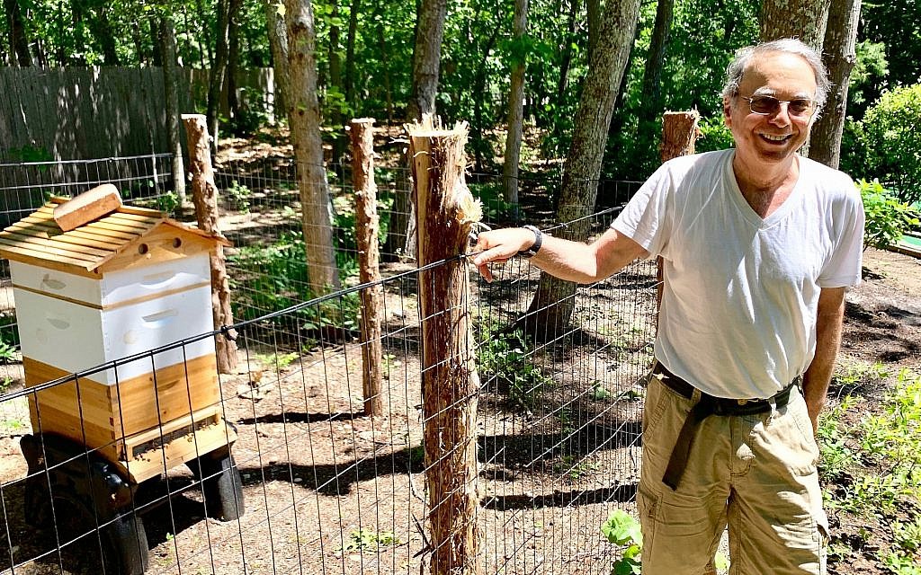 Marty Markowitz showing off his apiary in the backyard of his Southampton home. (Debra Nussbaum Cohen via JTA)