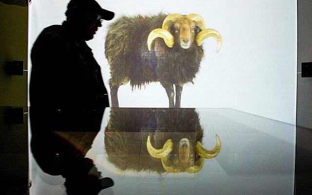 A visitor stands in the room ‘The Ram’ in the exhibition ‘Obedience. An installation in 15 Rooms’ at the Jewish Museum in Berlin, Germany, Thursday, May 21, 2015. British director Greenaway and his wife Boddeke are showing their interpretations of the biblical story of God’s order to Abraham to sacrifice his own son until Sept. 13, 2015. (Maurizio Gambarini/dpa via AP)