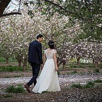 Illustrative: An Israeli couple photographed for their wedding at a blossoming almond tree field in Latrun on February 25, 2019. (Hadas Parush/Flash90)