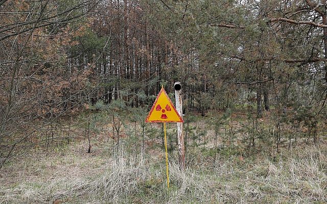 In this photo taken Wednesday, April 5, 2017, a radioactivity sign stands in the ground, outside Chernobyl, Ukraine. A reactor at the Chernobyl nuclear power plant exploded on April 26, 1986, leading to an explosion and the subsequent fire spewed a radioactive plume over much of northern Europe. (AP Photo/Efrem Lukatsky)