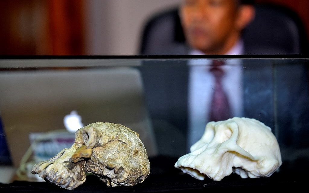 A 3.8-Million-Year-Old Skull Puts a New Face on a Little-Known