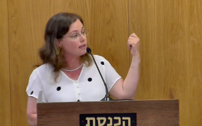 Tehila Shwartz Altshuler testifies before the Central Elections Committee at the Knesset on August 8, 2019. (Screen capture/Facebook)