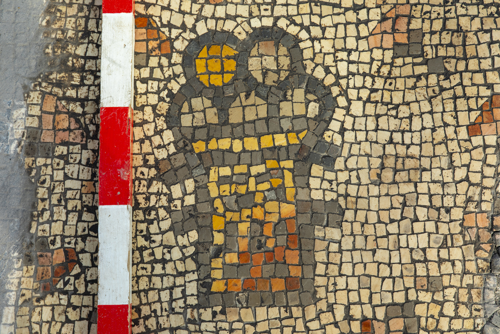 Где найти мозаику. Летняя мозаика. Найденные мозаики. Археологи плитка с мозаикой.