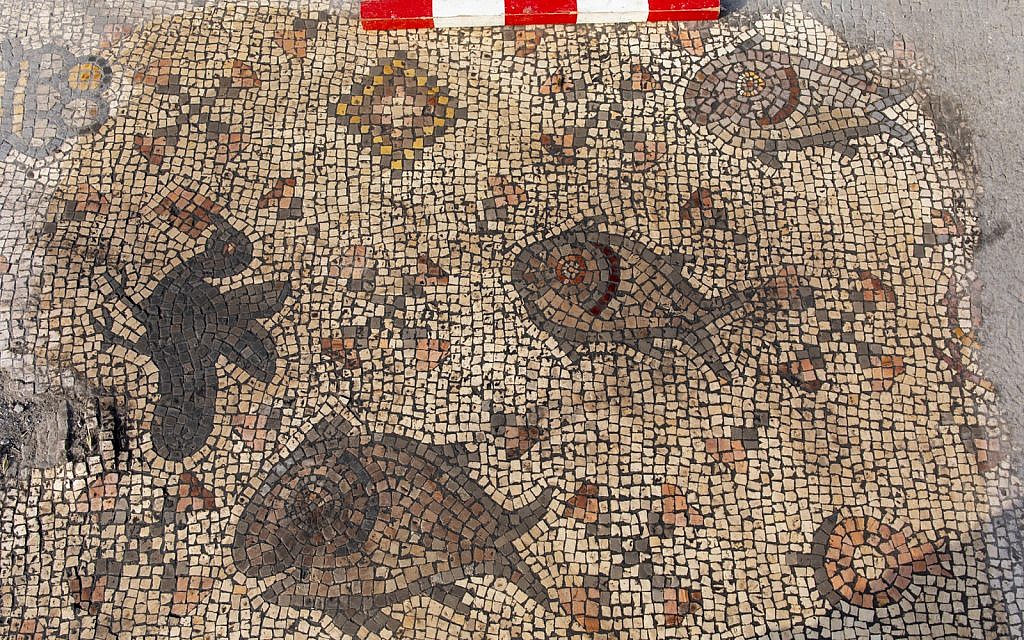 Detail from a mosaic at the 'Burnt Church' at the Hippos-Sussita Excavation Project at the Susita National Park, summer 2019. (courtesy)