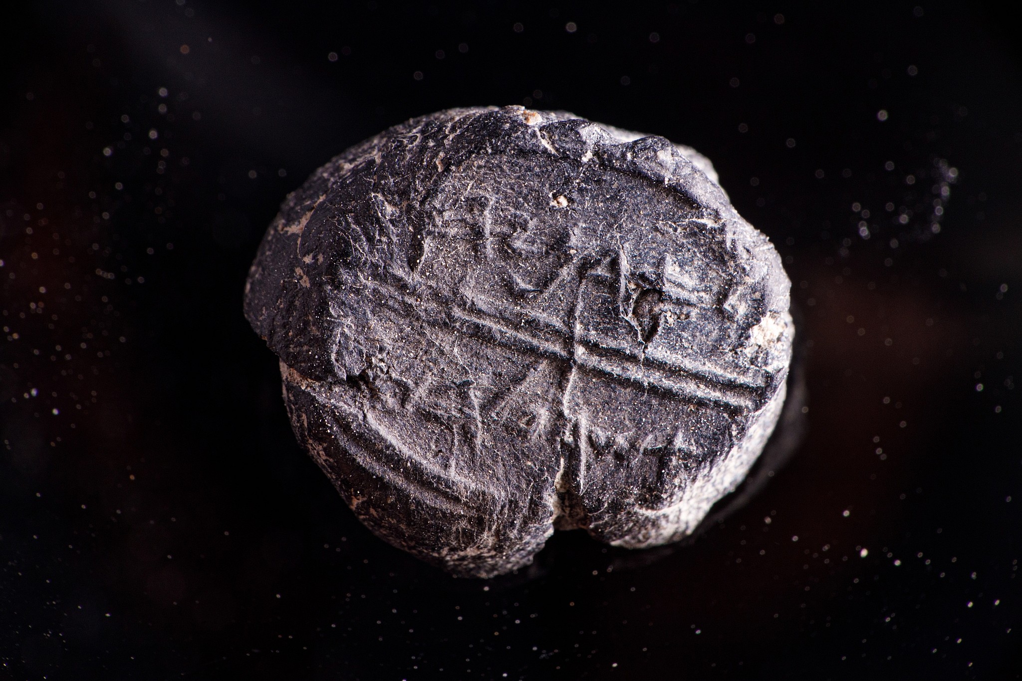 Tiny First Temple seal impression found with name of Bible-era