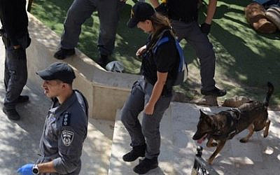 Police conduct searches for illegal weaponry in Arab towns in Wadi Ara, October 12, 2019 (Israel Police)