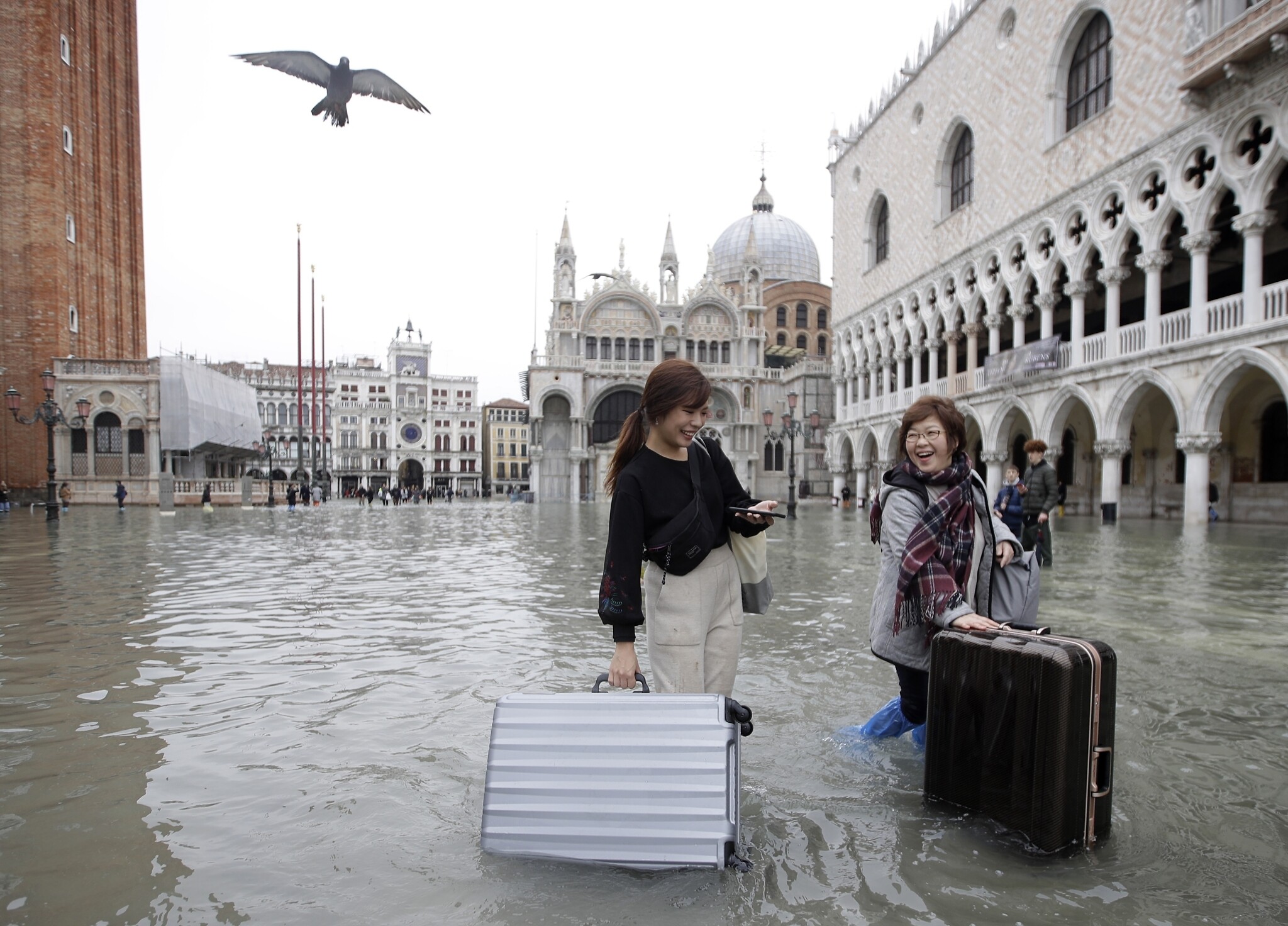 udsultet Rusten serviet Venice drowns as historic high tides flood the city | The Times of Israel