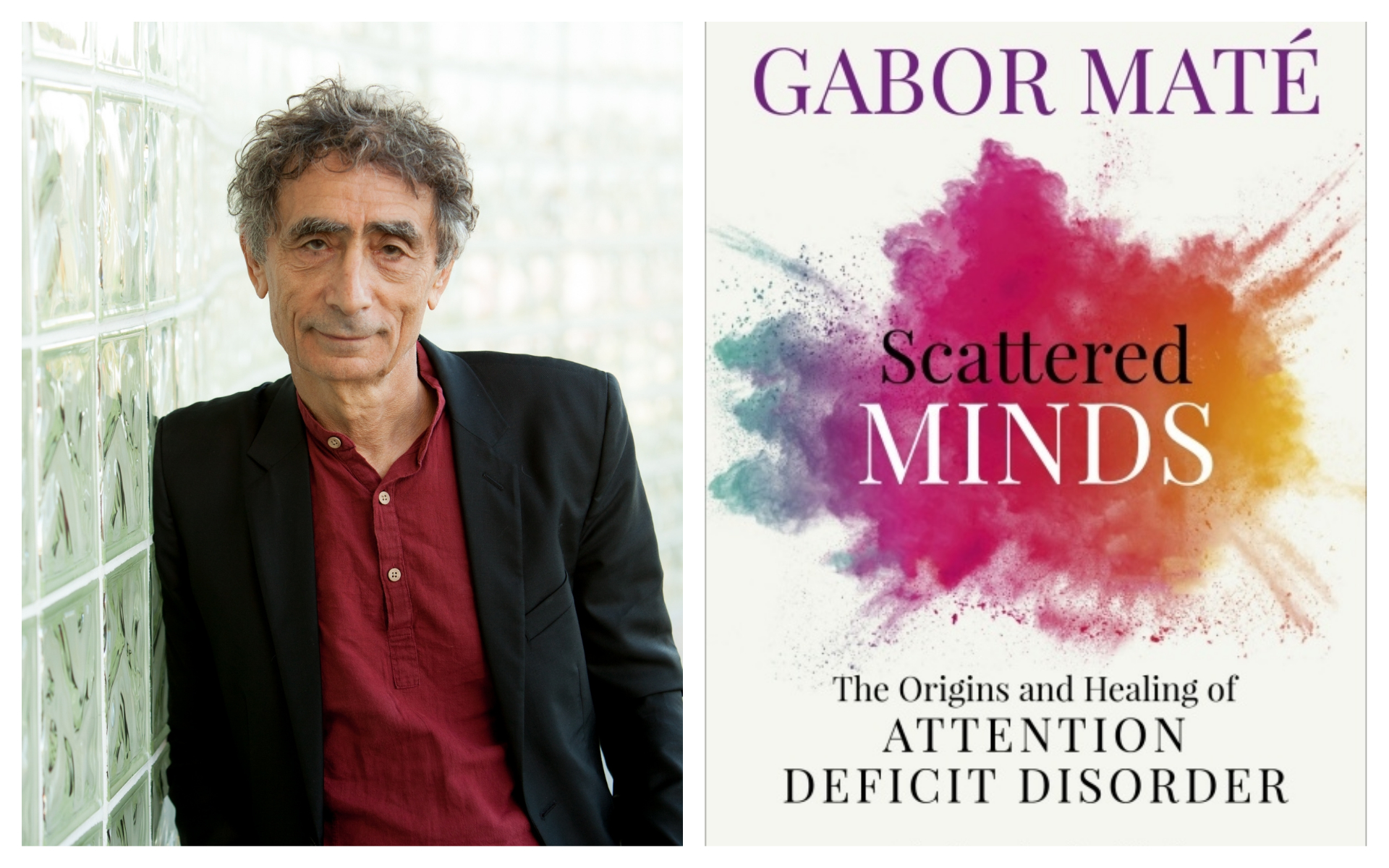 gabor mate in the realm