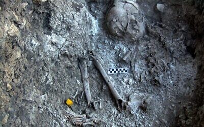 Close-up of a 12,000-year-old human burial embedded in the white material found in the Ein Gev cave. (courtesy)