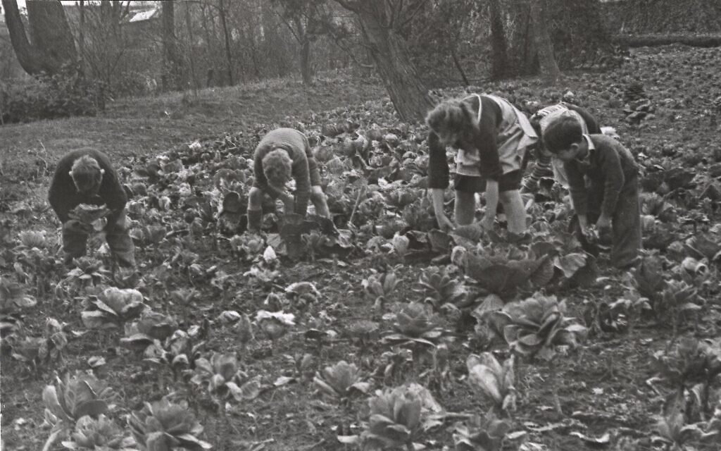 Jewish children in hiding in France during WWII working the fields. (Mémorial de la Shoah/ Ronald Rosbottom)