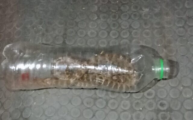 A snake that a soldier at an IDF checkpoint placed inside a Palestinian car in December 2019 (Nidal Sa'eed)