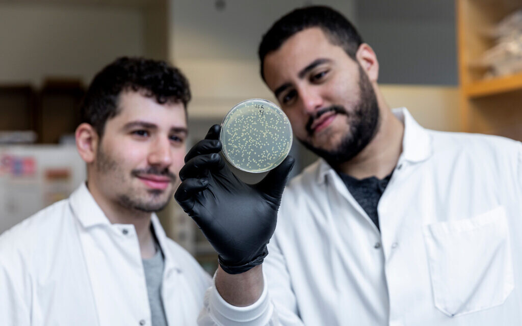 Jonathan Gootenberg, left, and Omar Abudayyeh, right, at their lab on October 31, 2019. The pair met during their undergraduate studies at MIT and have been working together closely for the last five years.  (McGovern Institute for Brain Research at MIT/ Photo by Caitlin Cunningham Photography)