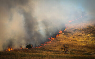 A large forest fire near Kiryat Tivon, June 1, 2020. (Yossi Zamir/Flash90)