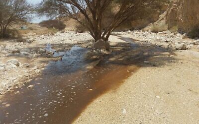 The Ashalim Stream, after it was polluted in June, 2017. (Georgi Norkin, Israel Nature and Parks Authority, File)