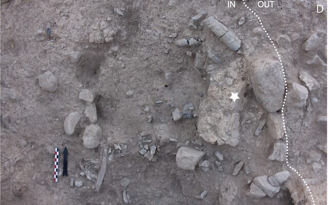 Detail of the north-east quarter of the cremation pit during excavation. A fragment of collapsed wall inside the pit is visible (star). (Bocquentin et al, 2020/PLOS ONE, CC BY)