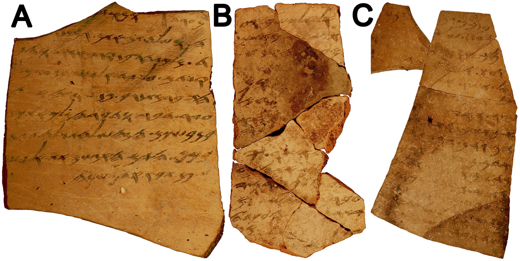 Pioneering DNA study reveals not all Dead Sea Scrolls are from Dead Sea