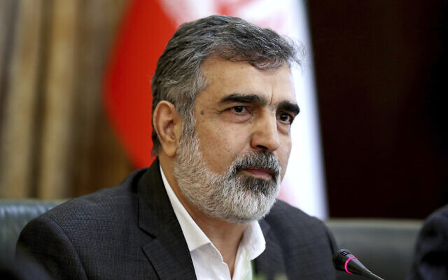 Spokesman of the Atomic Energy Organization of Iran Behrouz Kamalvandi speaks in a press briefing in Tehran, Iran,  July 7, 2019. (Ebrahim Noroozi/AP)