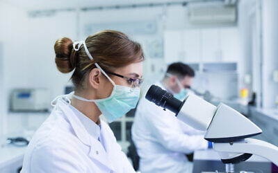 Illustrative: Team of biologists working with microscopes in a laboratory (Jevtic; iStock by Getty Images)