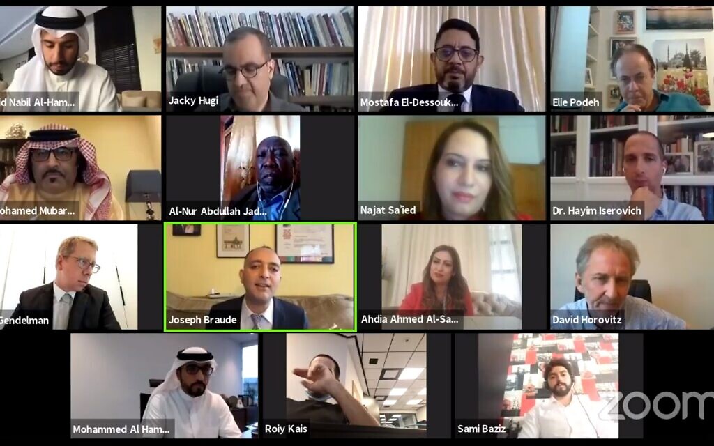 Screenshot from a webinar during which Israeli and Arab journalists, officials and communications professionals discussed the media's role in advancing Arab-Israel peace. September 21, 2020 (Facebook)