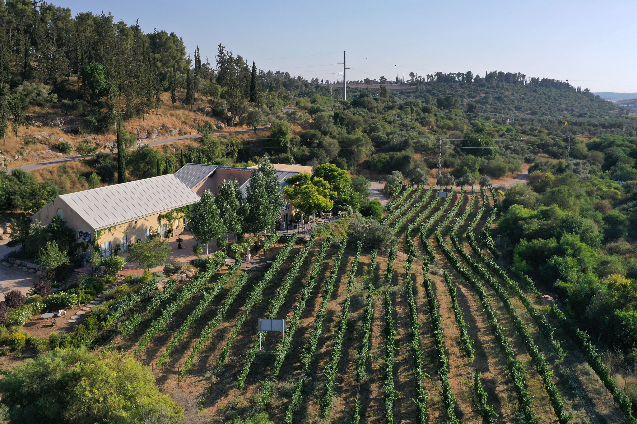 winery tours near jerusalem