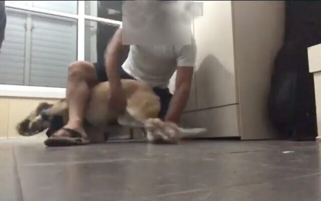 Screen capture from a video of a Bat Yam man abusing a dog, which went viral in . (Channel 12)