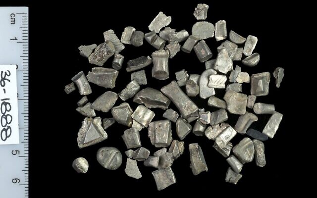 Silver cuts from ingots used for trade prior to currency minting. (Clara Amit/Israel Antiquities Authority)