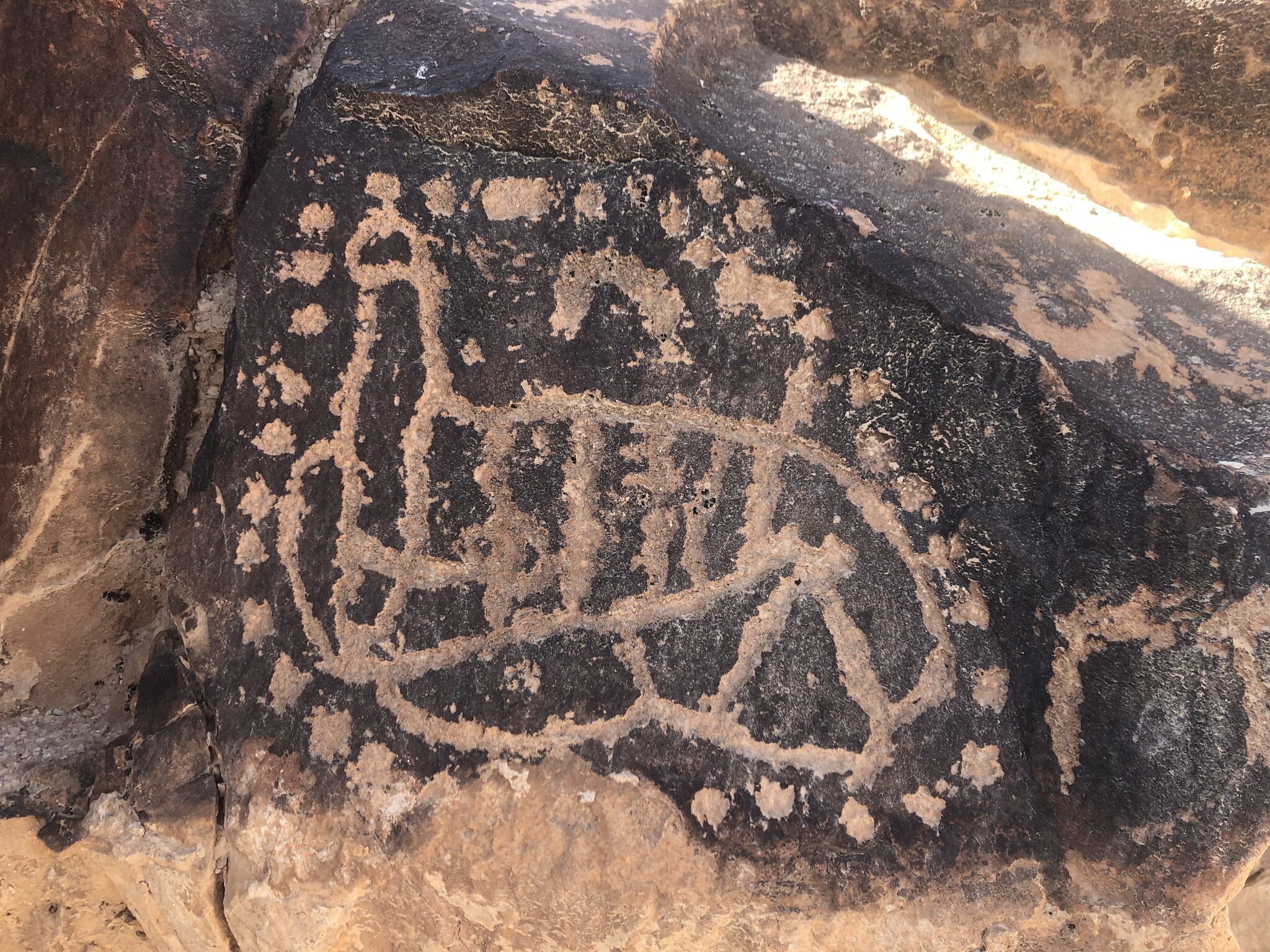 A strange rock carving which Emmanuel Anati suggested might be a  map of on Mount Karkom.  (Sue Surkes/Times of Israel)