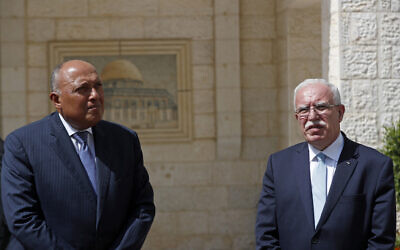 File: Egyptian Foreign Minister Sameh Shoukry, left, gives a joint statement with Palestinian Foreign Minister Riyad al-Malki, in the West Bank city of Ramallah, Monday, July 20, 2020. (Mohamad Torokman/Pool via AP)