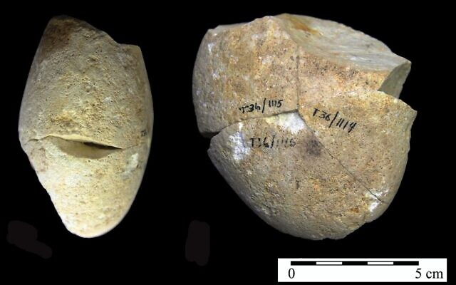 A stone abrasion tool, dated to be some 350,000 years old, that was found in the Tabun Cave in Mount Carmel. (University of Haifa)