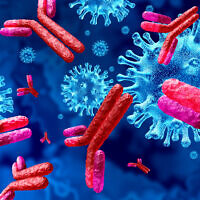 Illustration: Antibodies attacking contagious virus cells (wildpixel; iStock by Getty Images)
