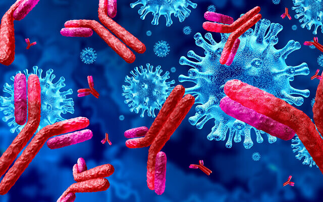 Illustration: Antibodies attacking contagious virus cells (wildpixel; iStock by Getty Images)