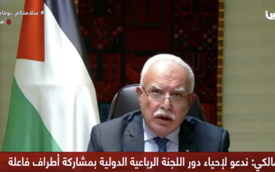 Palestinian Authority Foreign Minister Riyad al-Maliki addresses the United Nations Security Council on January 26, 2021 (screenshot: Palestine TV)