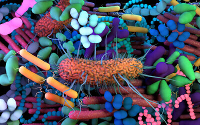 Illustration of the human microbiome. (Design Cells via iStock by Getty Images)