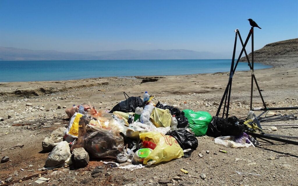 Israelis more concerned about littering than climate change, extinctions - poll - Vimarsana News