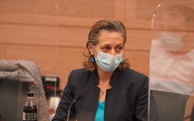 Head of public health services in the Health Ministry, Dr. Sharon Alroy-Preis, during an undated government meeting (Knesset Spokesperson)