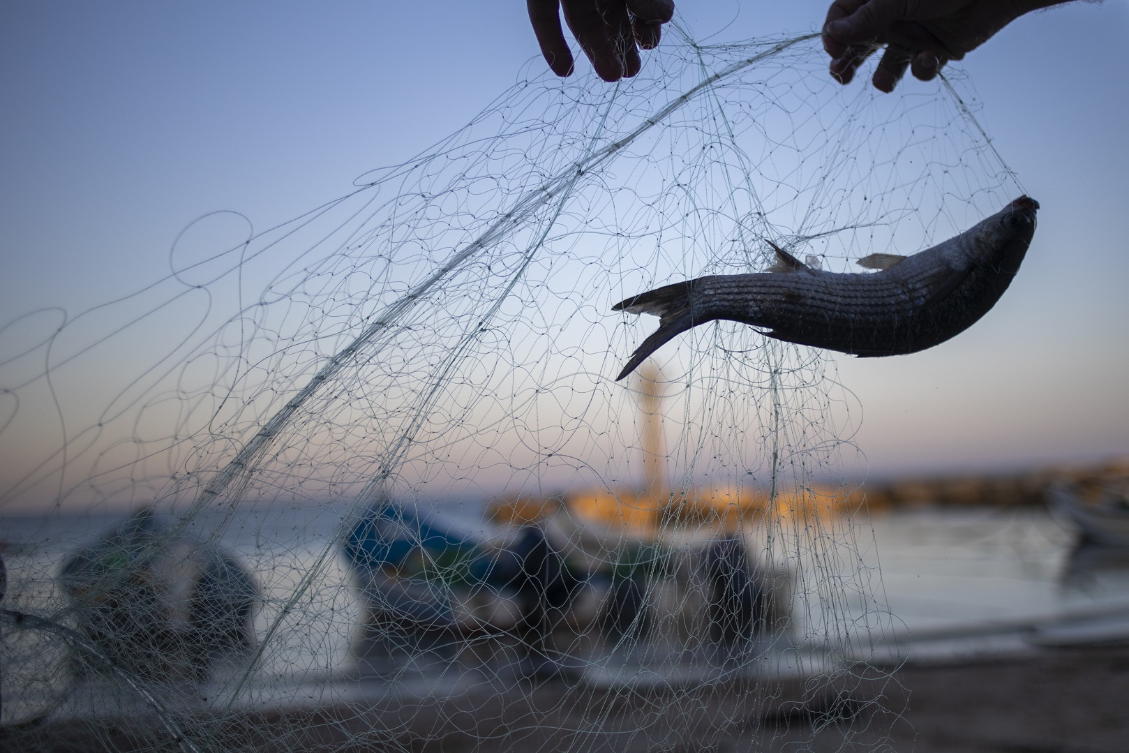 After oil spill, fishermen at Jisr az-Zarqa net catch despite seafood sales ban The Times of Israel photo