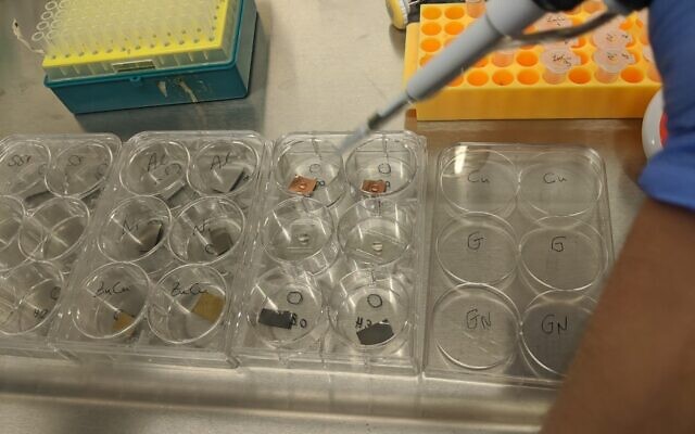 A researcher places drops of coronavirus suspension on sterile surfaces prior to ozone exposure. (Tel Aviv University)