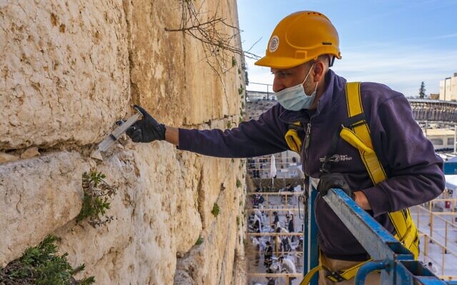 Conservation work carried out at the Western Wall, Jerusalem (Yaniv Berman/Israel Antiquities Authority)