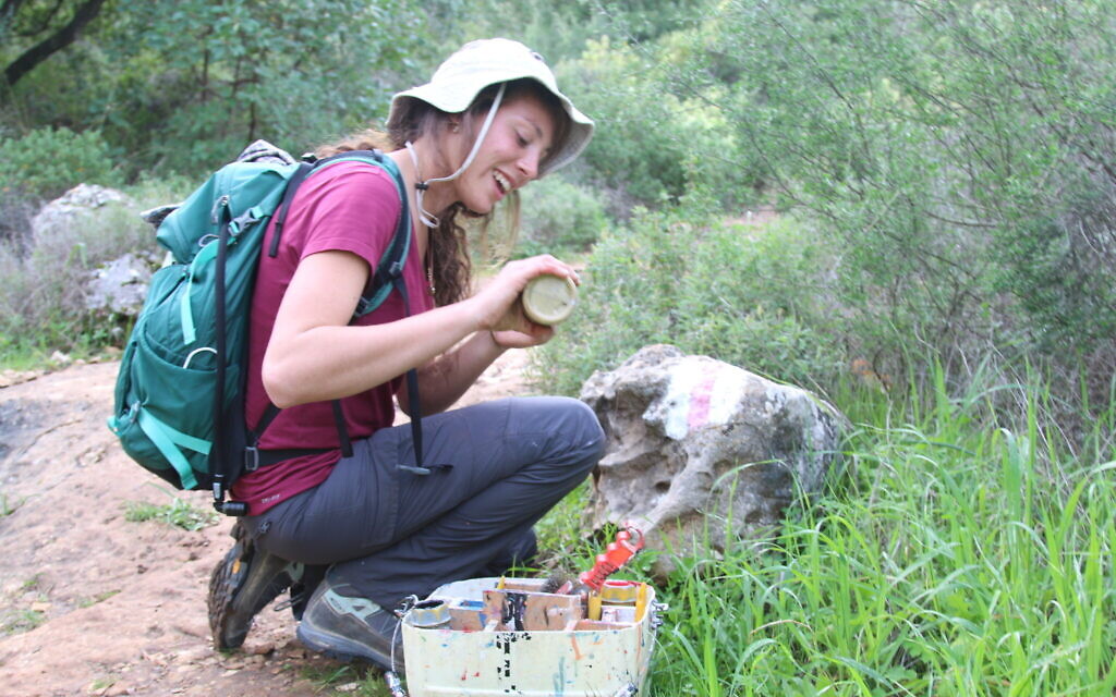 Stroll among the humble cyclamen on a not-so-humble jaunt in the Judean Hills - Vimarsana News