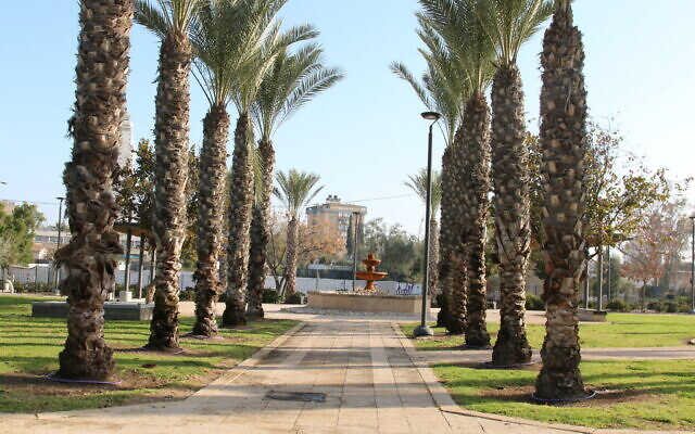 Ancient Charm Is Revived In Beersheba S, How Much Do Landscapers Charge To Plant A Tree In Israel