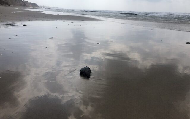 A fresh ball of tar on the beach at the Gador Nature Reserve in northern Israel, March 2, 2021. (Sue Surkes/Times of Israel)