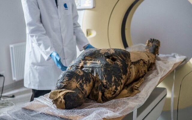 The pregnant Egyptian mummy is prepared for X-ray scans at a medical centre in Otwock near Warsaw, Poland in December 2015. (Warsaw Mummy Project)