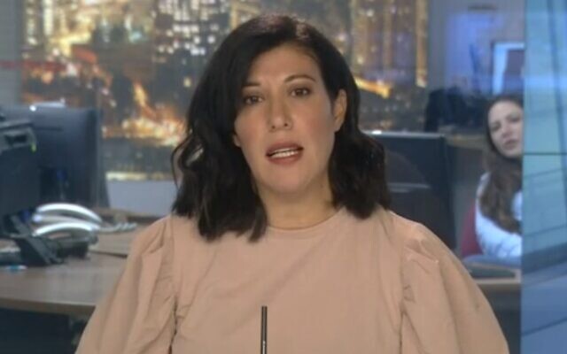 Arab affairs analyst Shimrit Meir (Channel 12 screenshot)