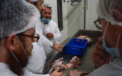 Rabbis examine the production line at Quality Poultry KFT in Csengele, Hungary, February 2017. (Zsolt Demecs/ via JTA)
