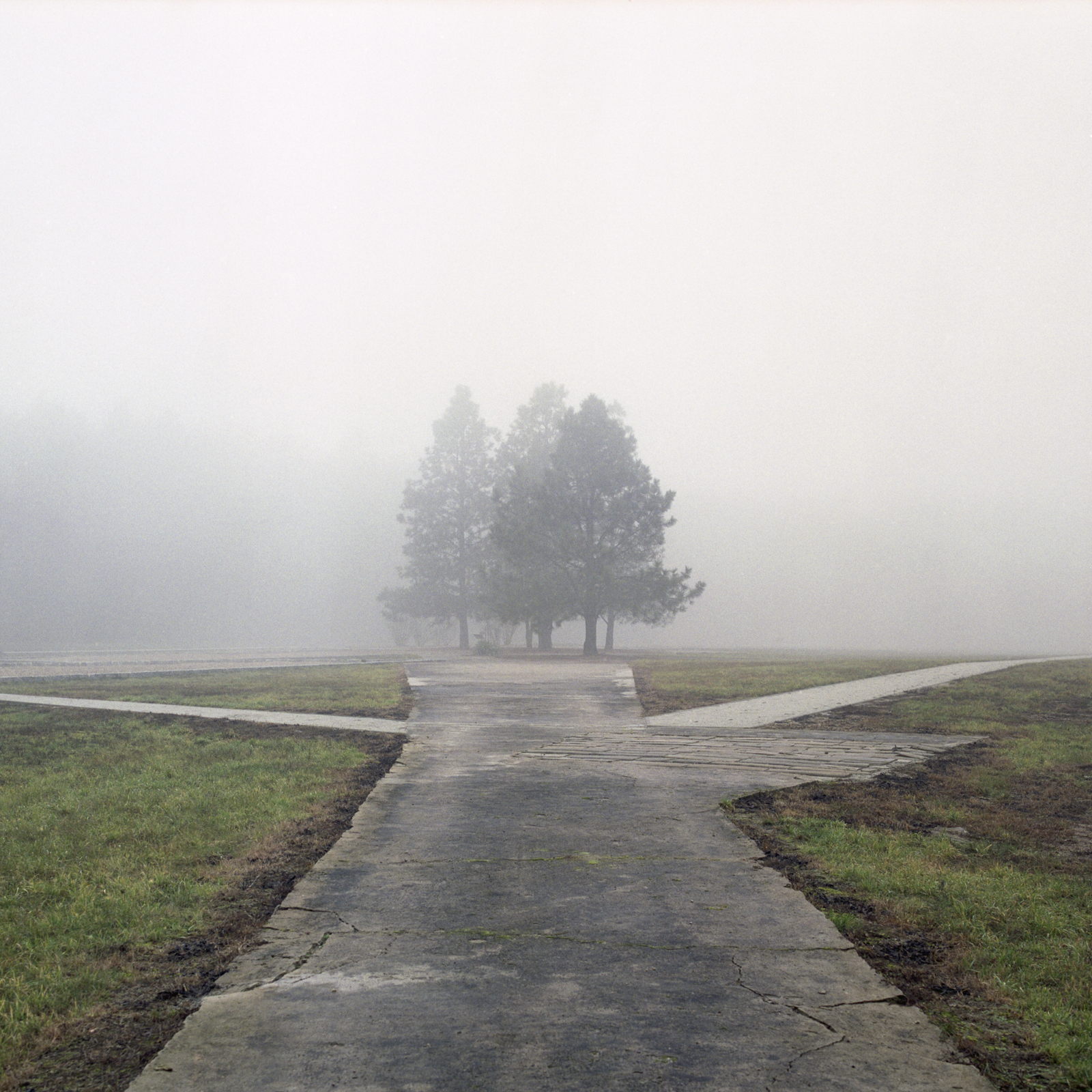 Area to right of crematoria, forest camp, Chelmno death camp. Rzuchow forest, Poland, 2015. (Marc Wilson)